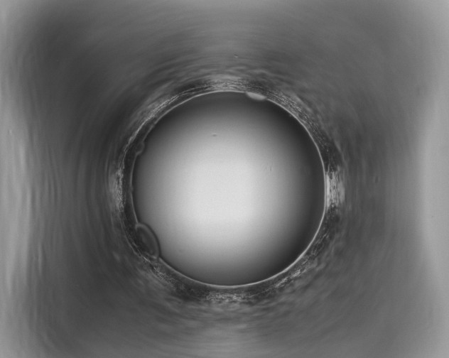 X0000116260291200911301158