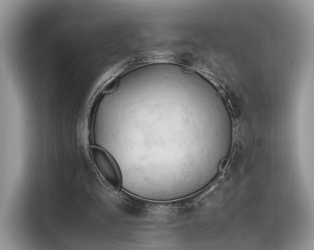 X0000116260293200911301158
