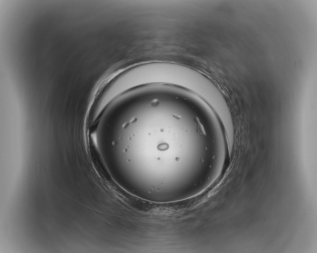 X0000116260294200911301158