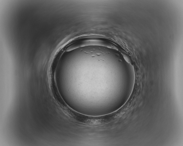 X0000116260295200911301158
