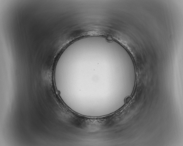 X0000116260297200911301158