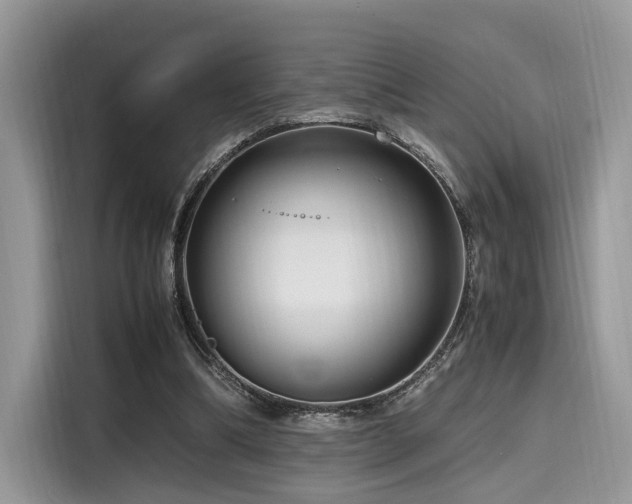 X0000116260298200911301158