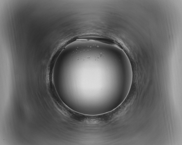 X0000116260299200911301158
