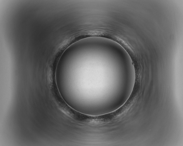 X0000116260303200911301158