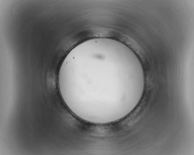 X0000116260305200911301158
