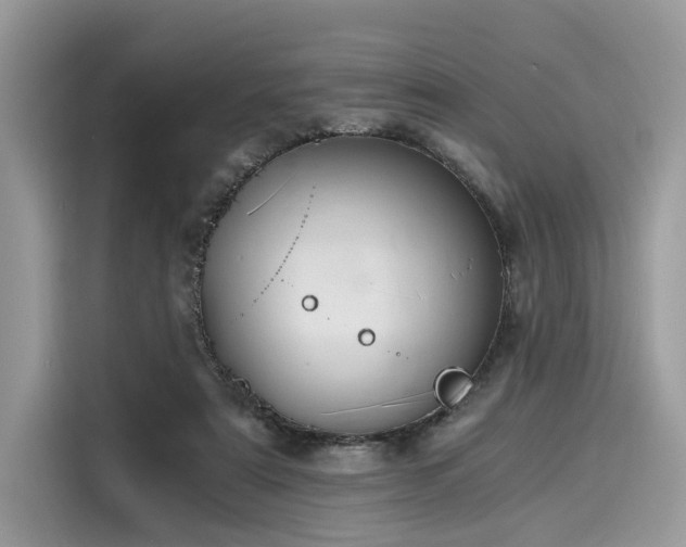 X0000116260307200911301158