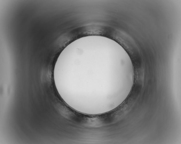 X0000116260309200911301158