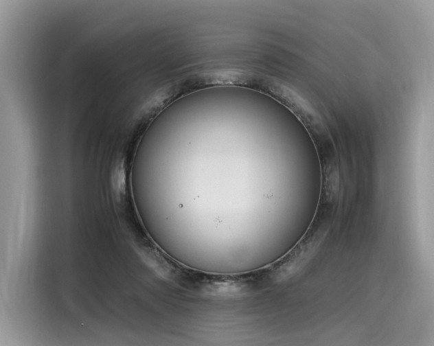 X0000116260310200911301158