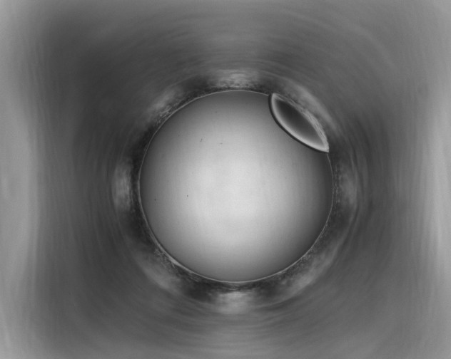 X0000116260312200911301158