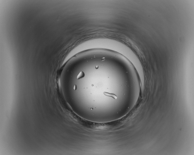 X0000116260313200911301158