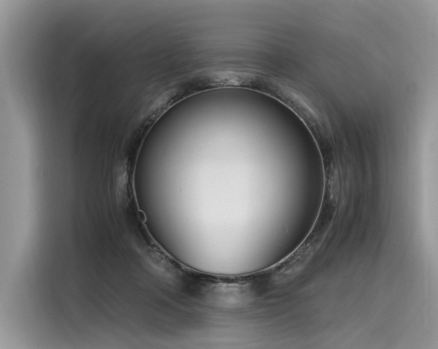 X0000116260314200911301158