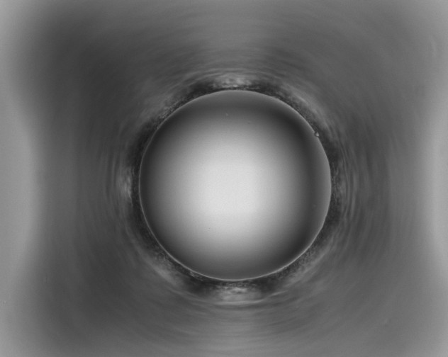 X0000116260315200911301158
