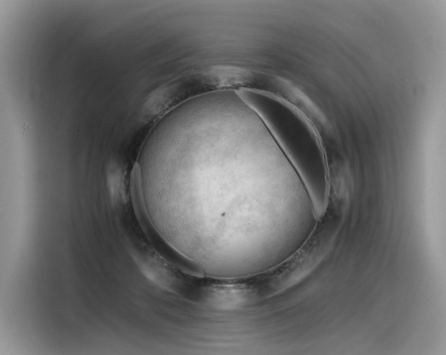 X0000116260316200911301158