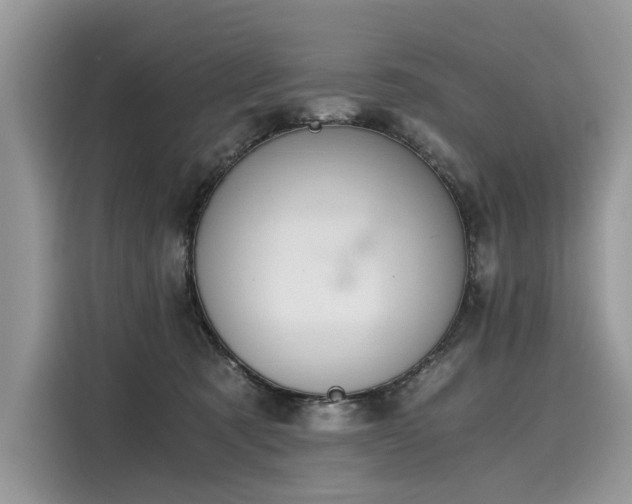 X0000116260321200911301158