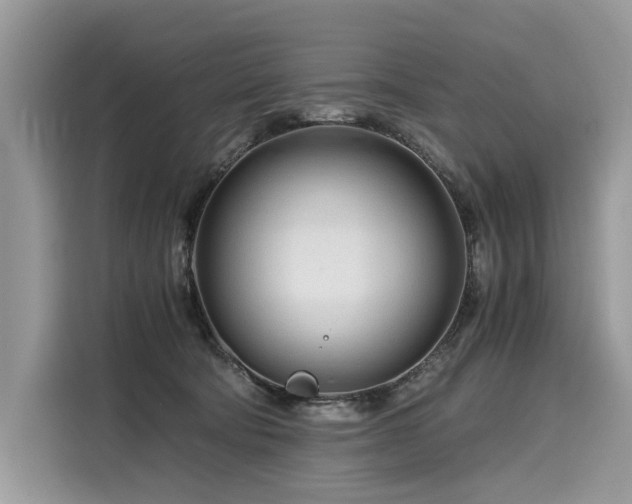 X0000116260322200911301158