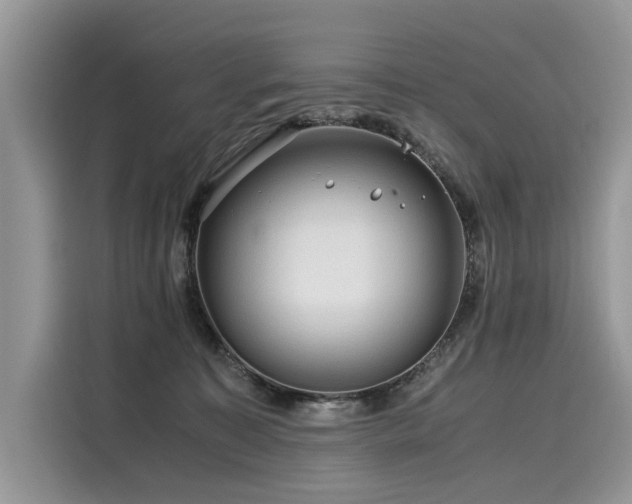 X0000116260323200911301158