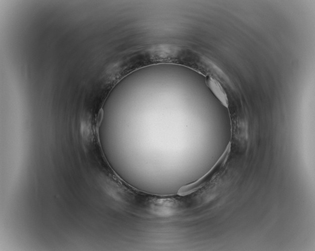 X0000116260324200911301158