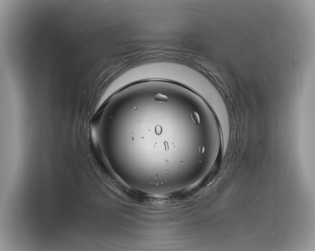 X0000116260325200911301158