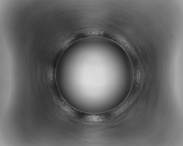 X0000116260326200911301158