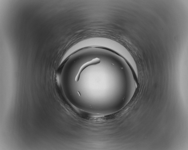 X0000116260327200911301158