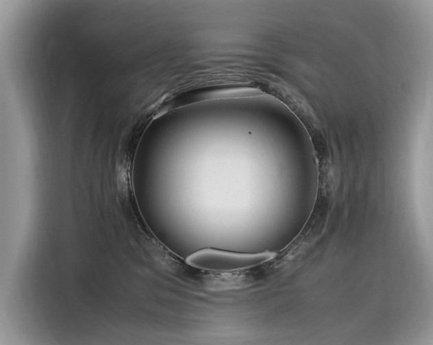 X0000116260329200911301158