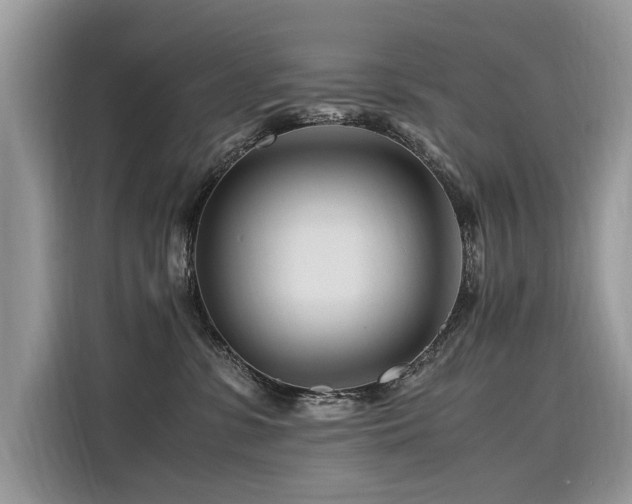X0000116260331200911301158