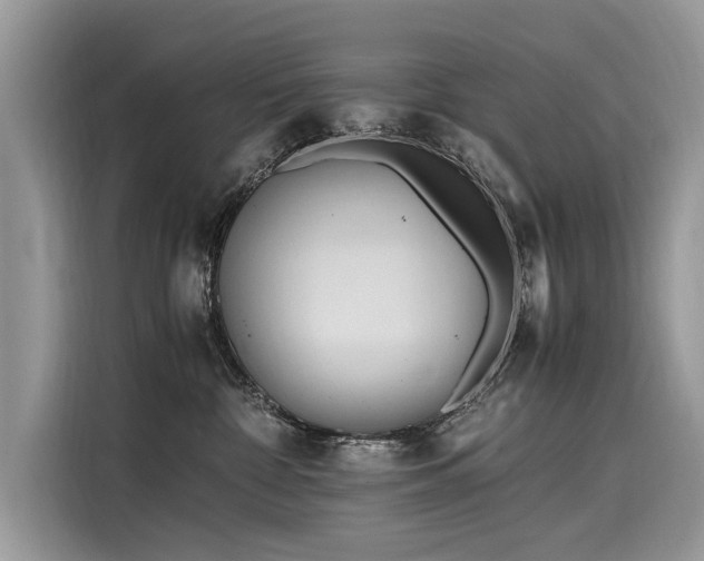 X0000116260332200911301158