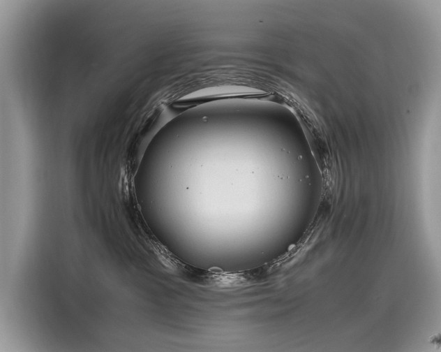 X0000116260333200911301158
