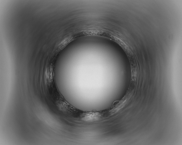X0000116260334200911301158