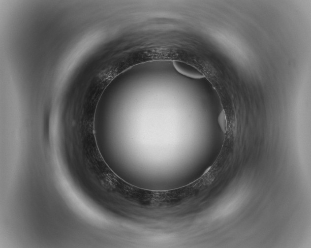 X0000116260335200911301158