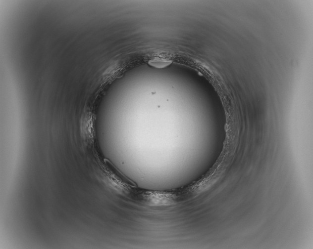X0000116260336200911301158