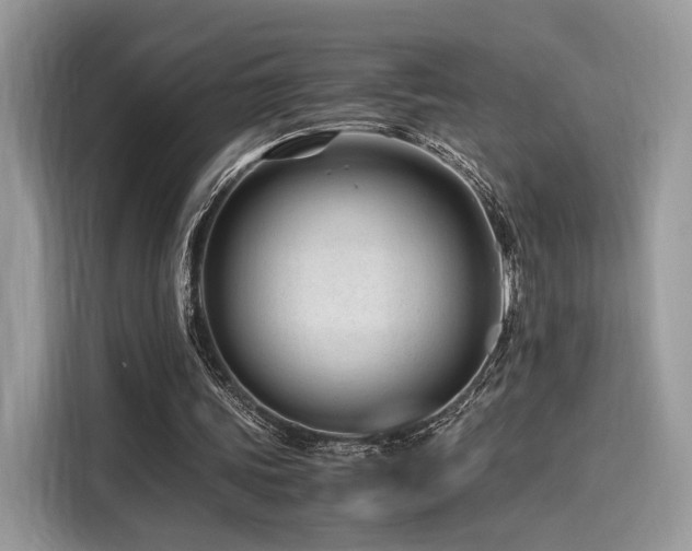 X0000116260339200911301157