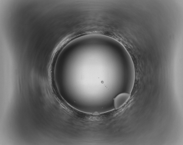 X0000116260341200911301157