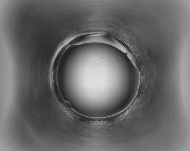 X0000116260342200911301157