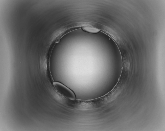 X0000116260350200911301157