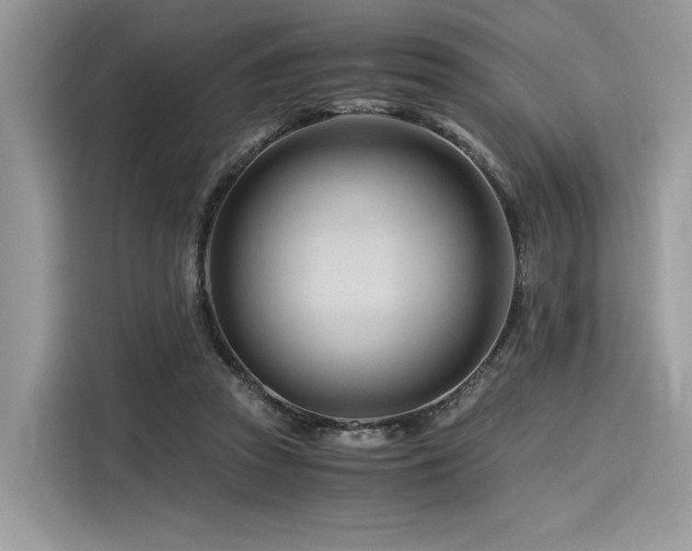X0000116260353200911301157