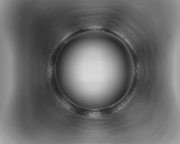 X0000116260355200911301158