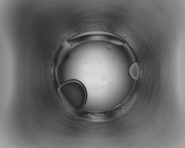 X0000116260359200911301158