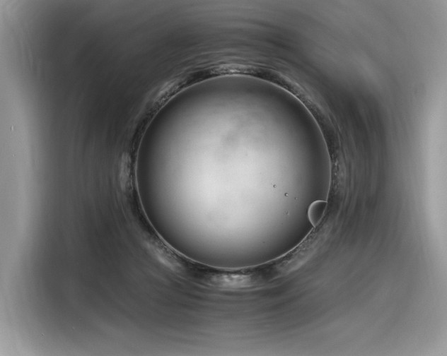 X0000116260361200911301158