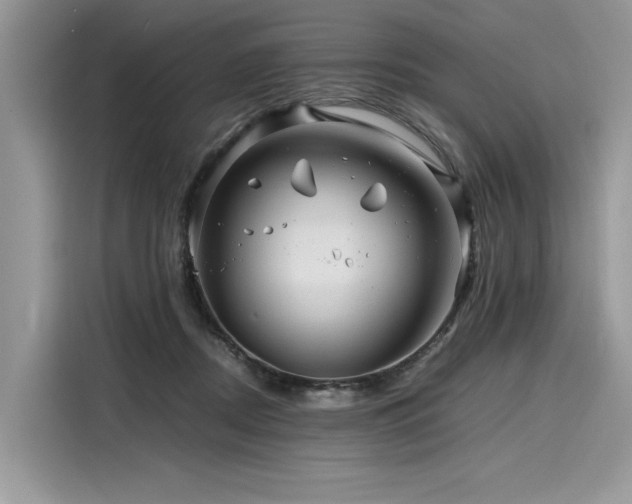 X0000116260362200911301158