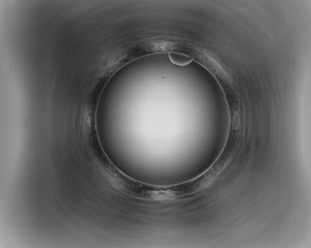 X0000116260363200911301158