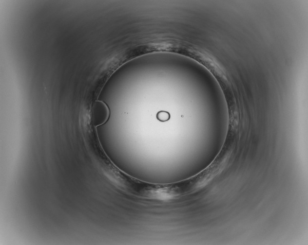 X0000116260365200911301158