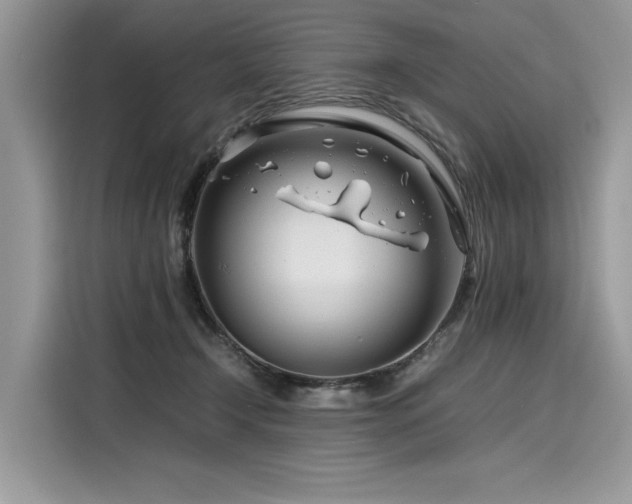 X0000116260366200911301158