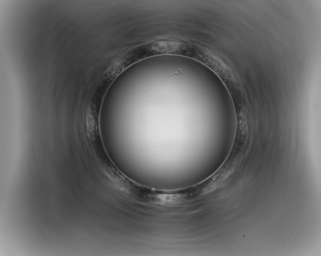 X0000116260371200911301158