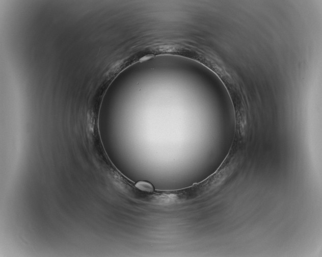 X0000116260374200911301158