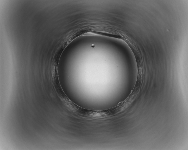 X0000116260379200911301158