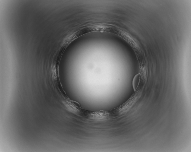 X0000116260381200911301158