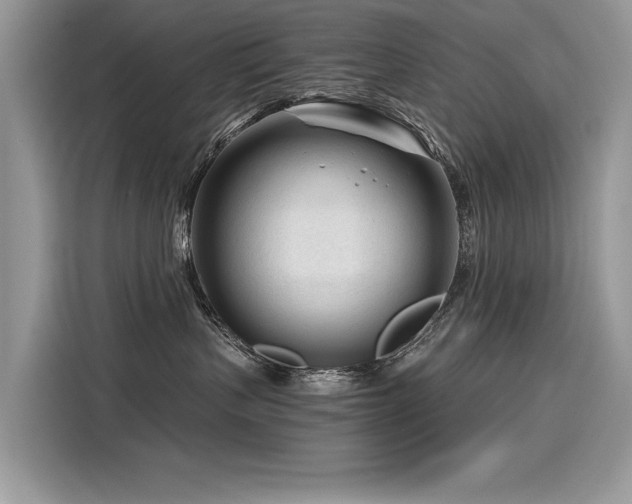X0000116260383200911301158