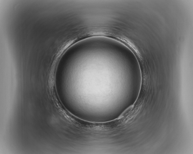 X0000116260385200911301157