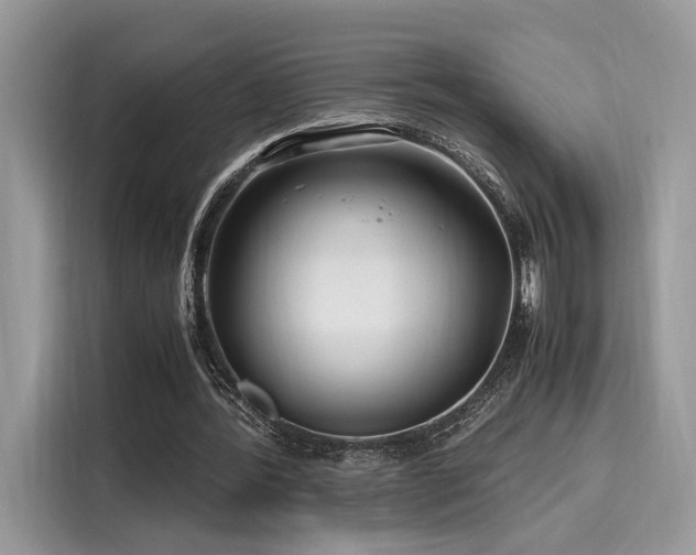 X0000116260388200911301157